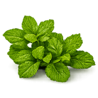 BRAHMI