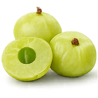 AMLA